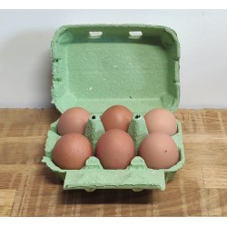 Boite de 6 œufs Bio