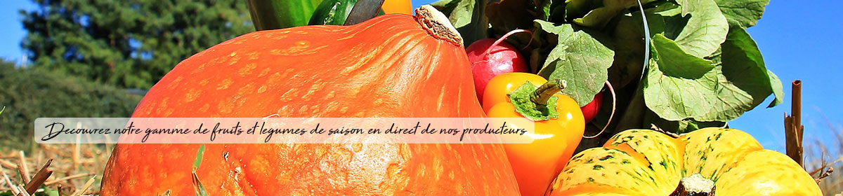 Fruits et légumes de saison en direct du producteur
